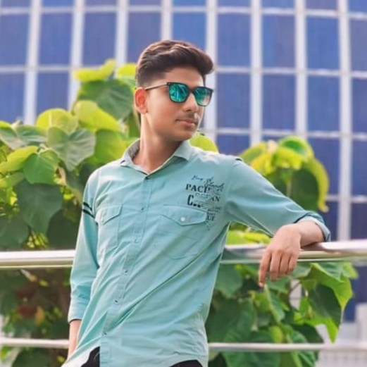 Photo of Sk Arian Ali